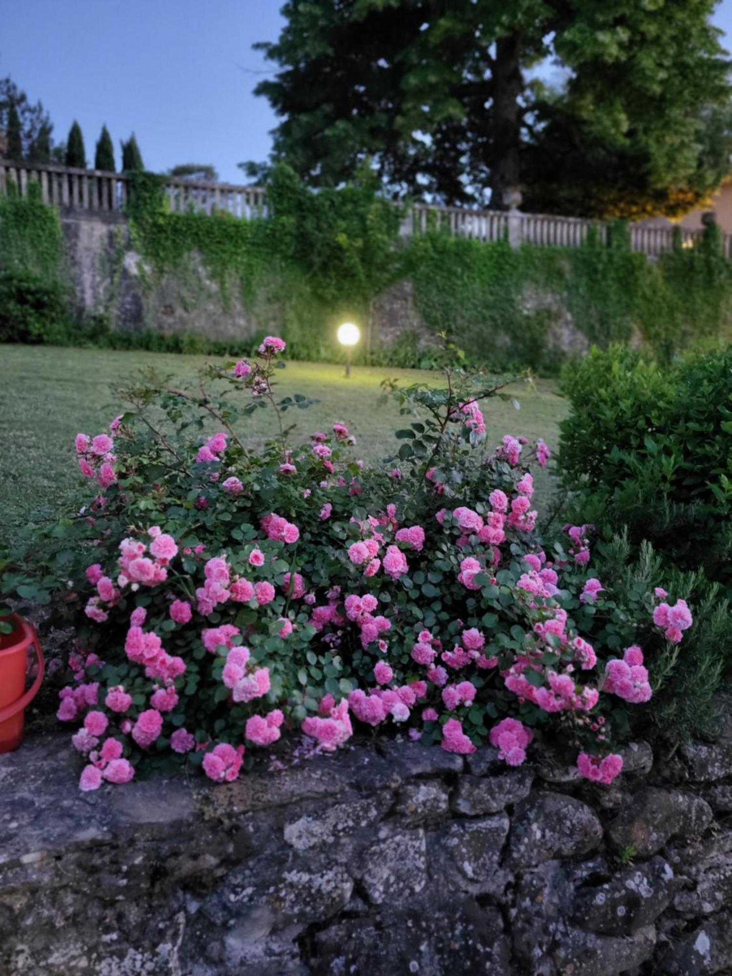 Villa Badia A Ruoti Dış mekan fotoğraf